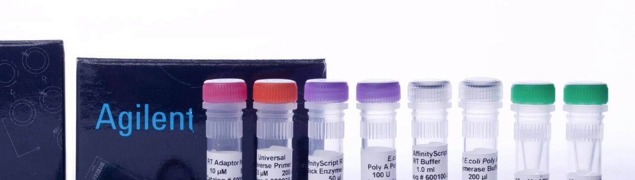 基于 PCR 的专用试剂盒与试剂